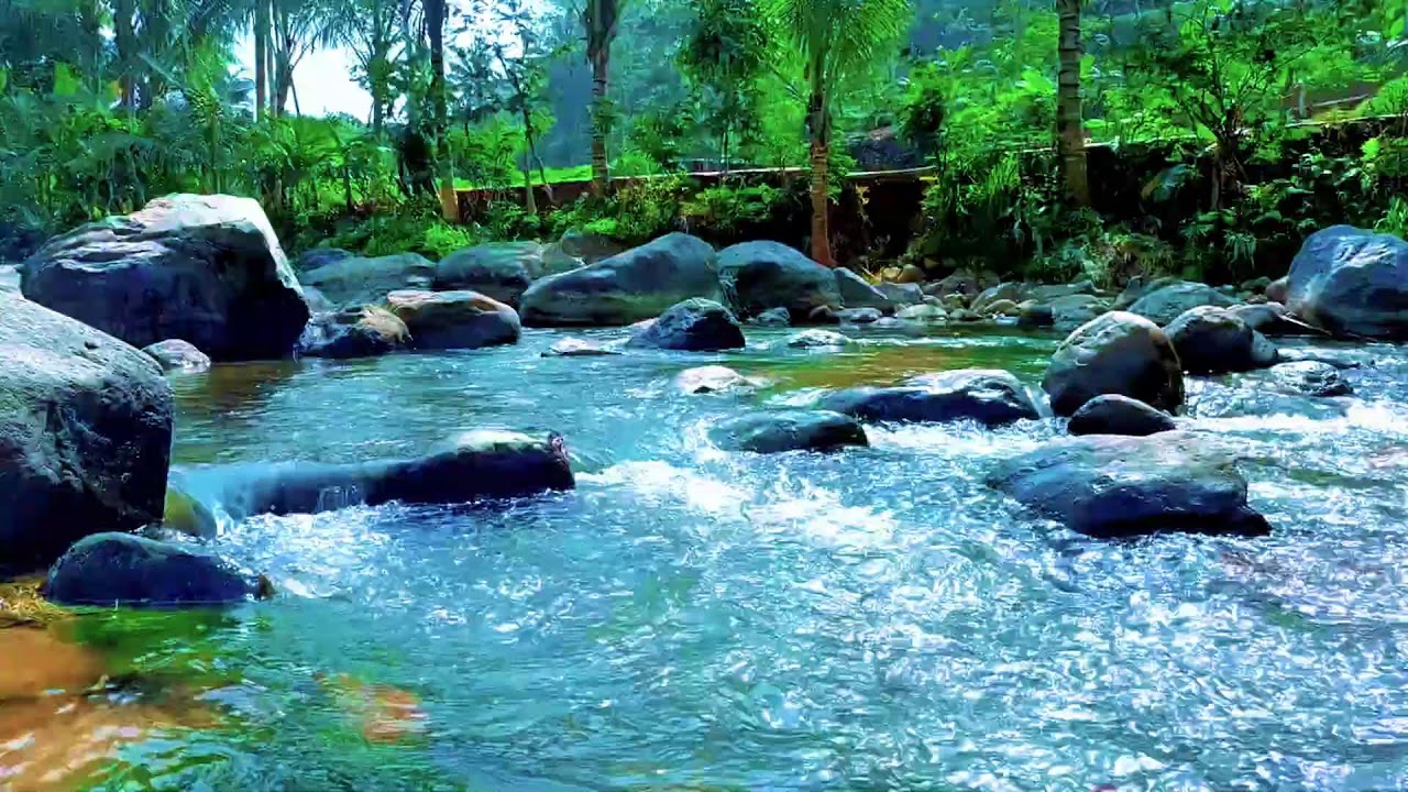 Relaxing River Water Soundscape for Meditation, Focus, and Restful Sleep