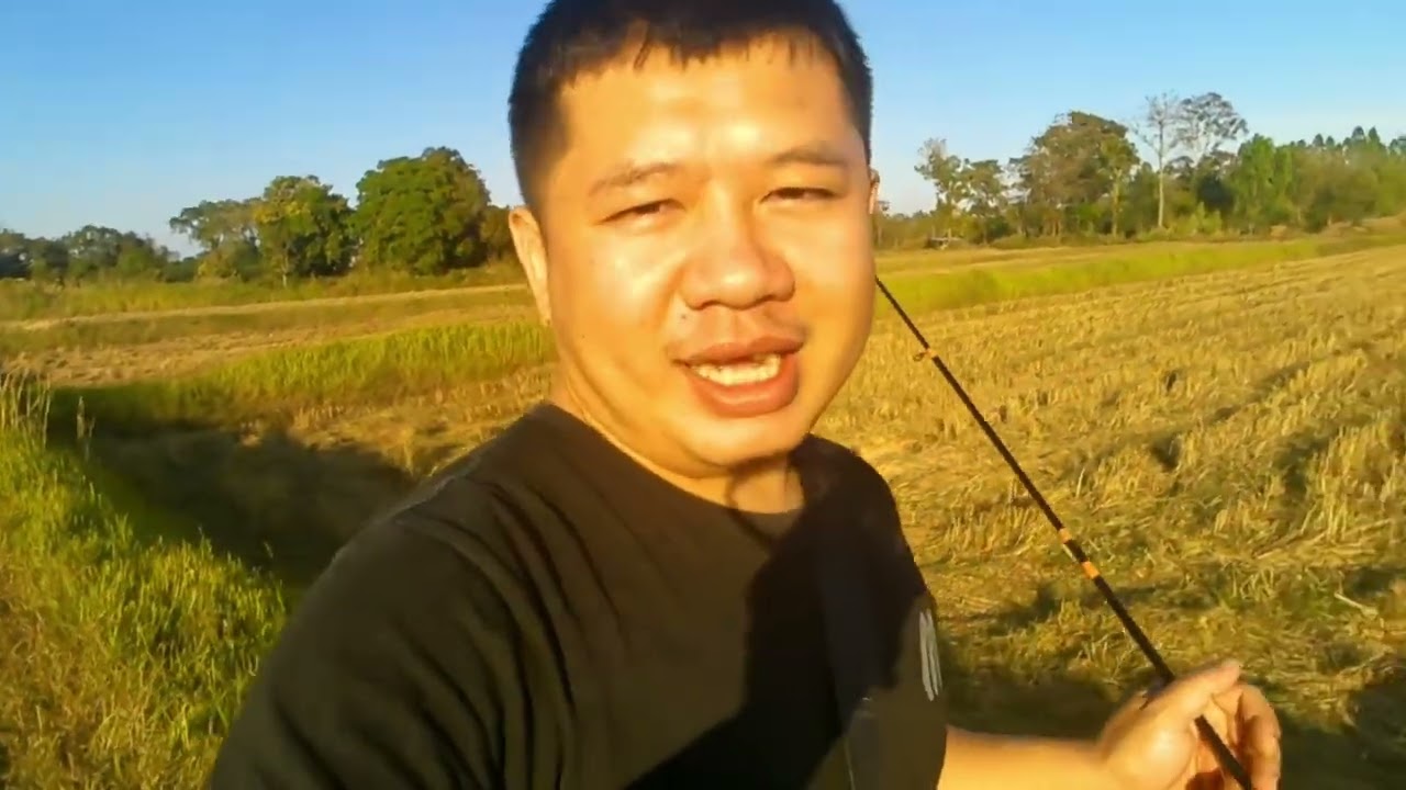ไปนา ตกปลา เอาบรรยากาศทุ่งนา #ตกปลา #ไปนา