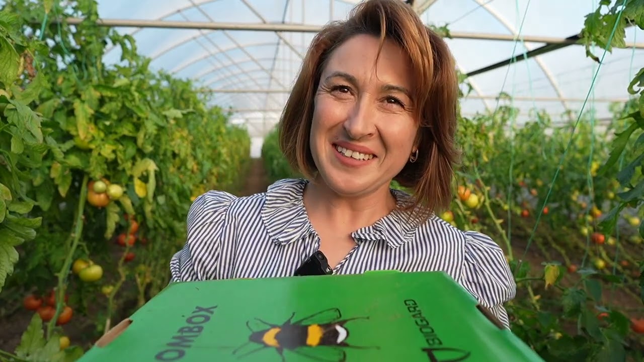 MEGA IMAGE | Lucian Mândruță despre programul Gusturi românești de la gospodari