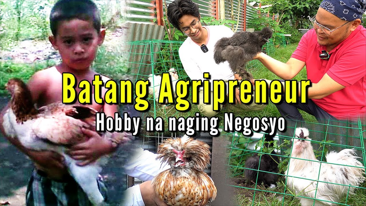 Batang Agripreneur - Hobby na Naging Negosyo - Fancy Chicken