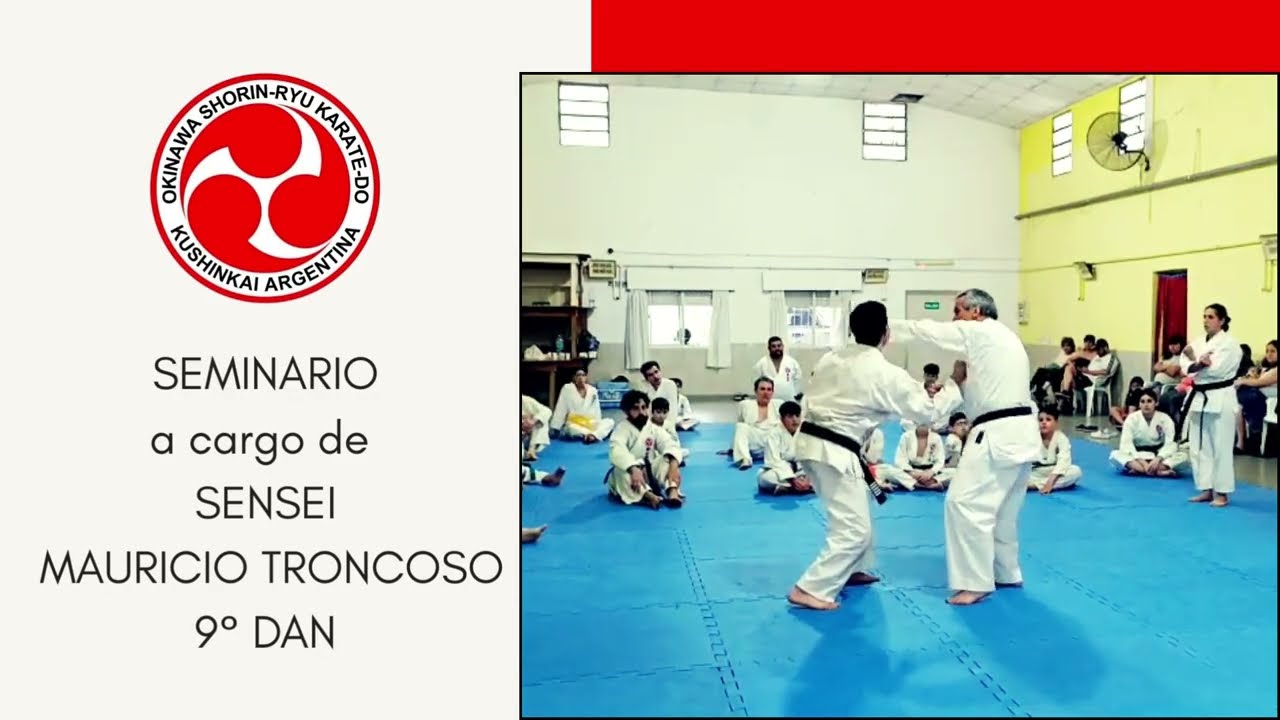 #2 SEMINARIO SENSEI MAURICIO TRONCOSO 9° DAN