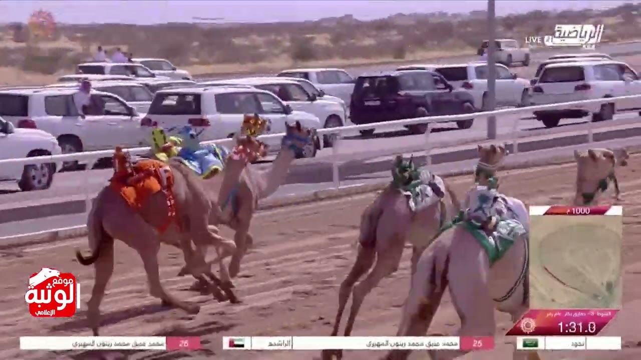 الشوط 3 (غرابيل) لـ فيصل طالب شريم المري 2:53:88  ، مهرجان ولي العهد 2023/8/30 حقايق الطائف