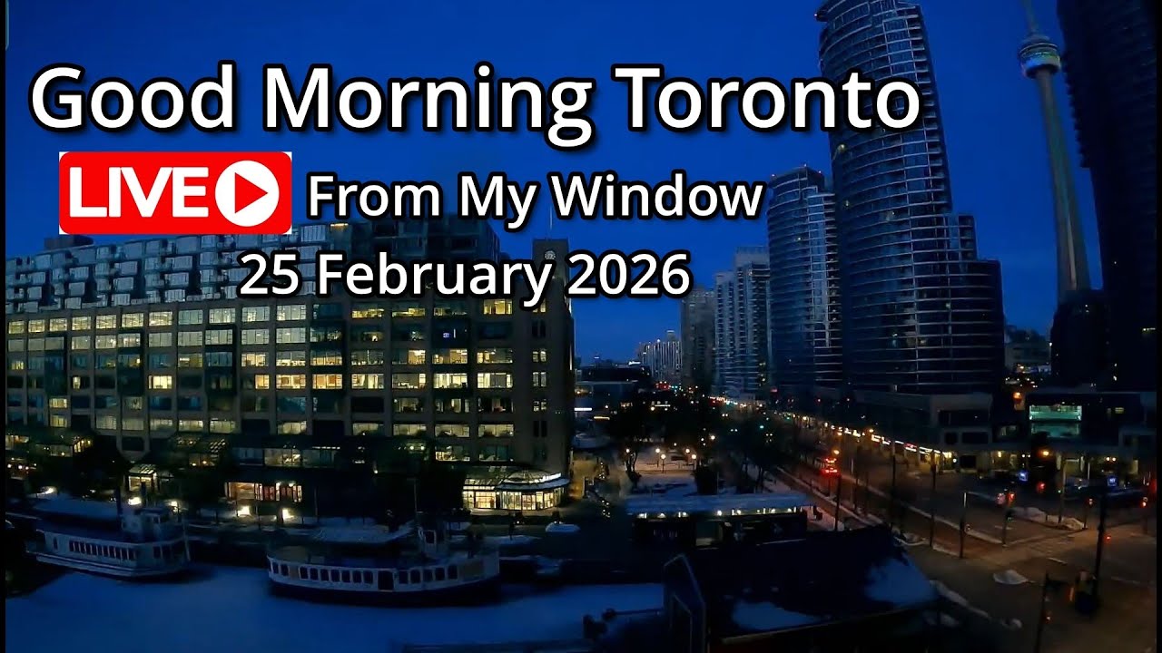 🔴Toronto Window Cam LIVE HD | MaoChow Adventure 25th Feb 2026 Snowy Sunrise