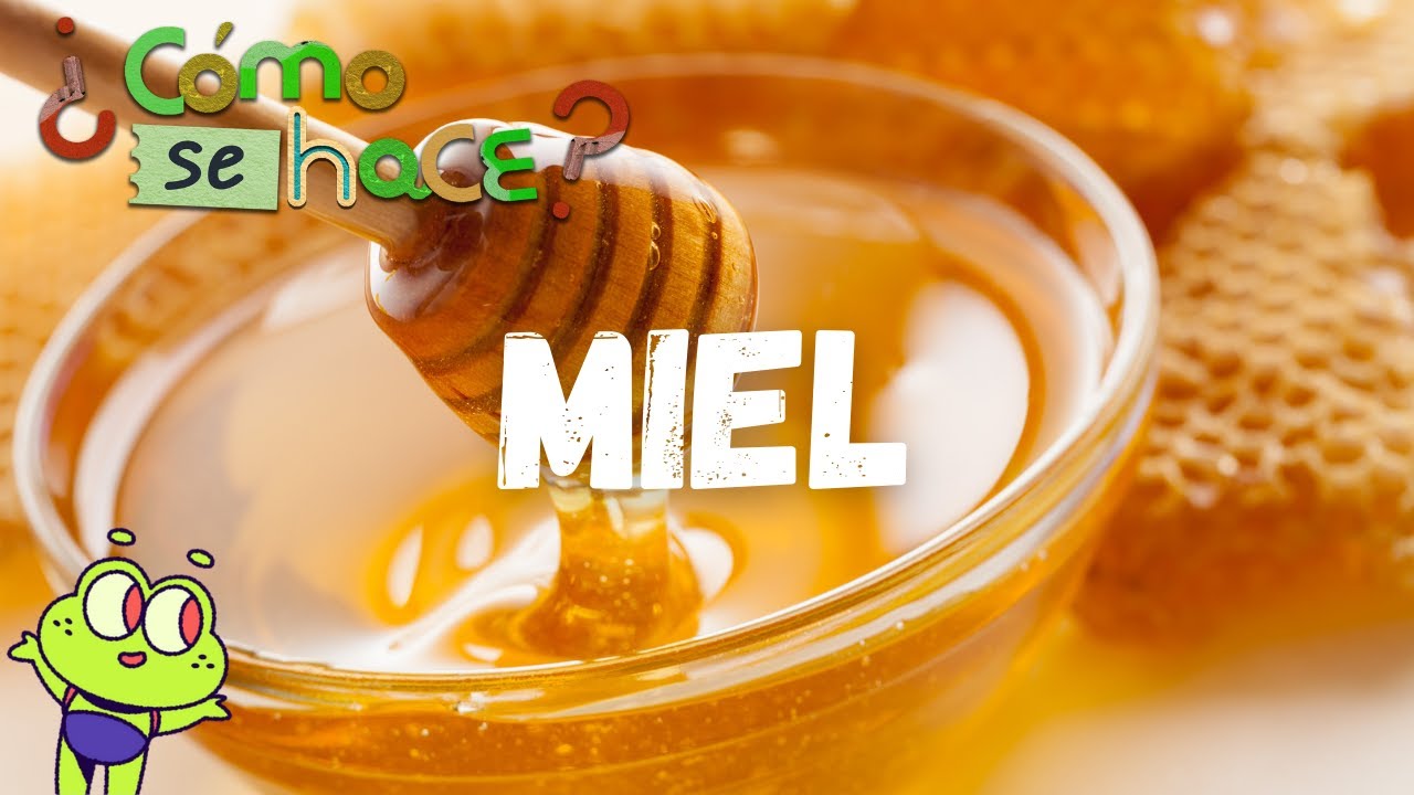 Cómo se hace la miel explicado para niños