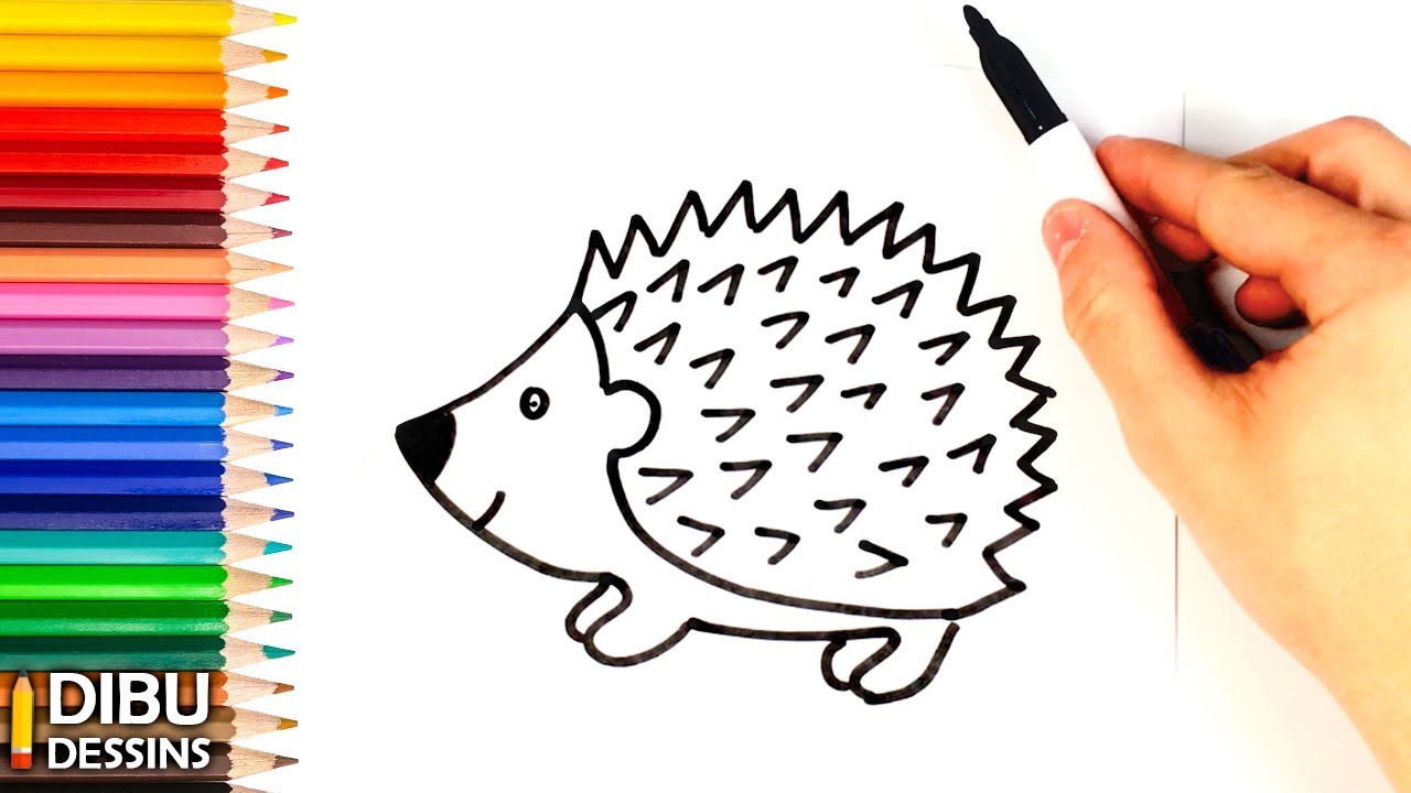 Comment dessiner un H&eacute;risson | Dessin de H&eacute;risson