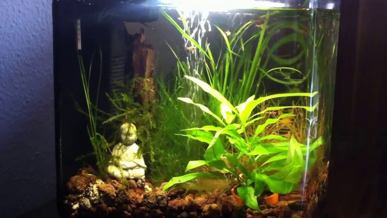 My Biorb FLOW