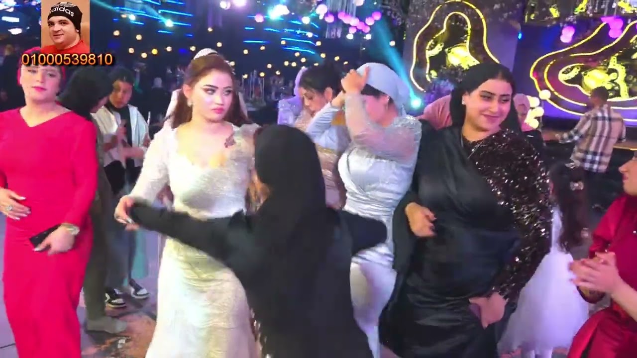 انا نسخه واحده بس شقلشه وعبد السلام فرحة اسلام بلتاجى قناة حماده زناتى 01000539810
