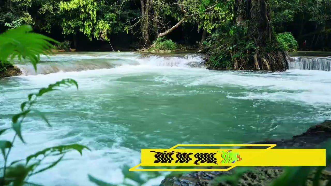 Looking to buy, sell, or relocate to Jamaica?