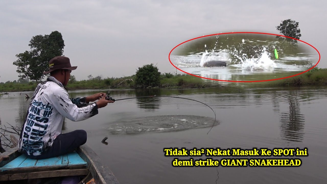 MENYUSURI SPOT DI HUTAN PEDALAM RIAU || MENCARI SPOT CASTING YANG TIDAK TERJAMAN PEMANCING