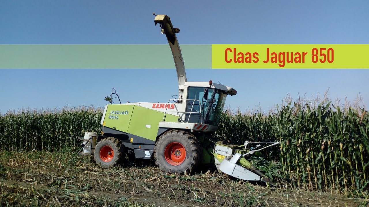 Claas Jaguar 850 / Corn Silage 2020 /DriverView/GoPro