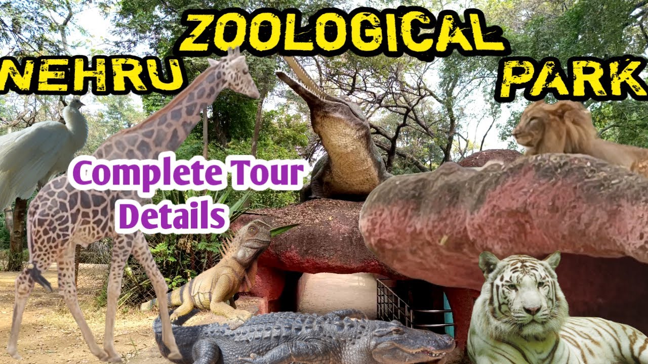 Nehru Zoological Park | Complete Tour|  Hyderabad | నెహ్రూ జూలజికల్ పార్క్ | Family trip