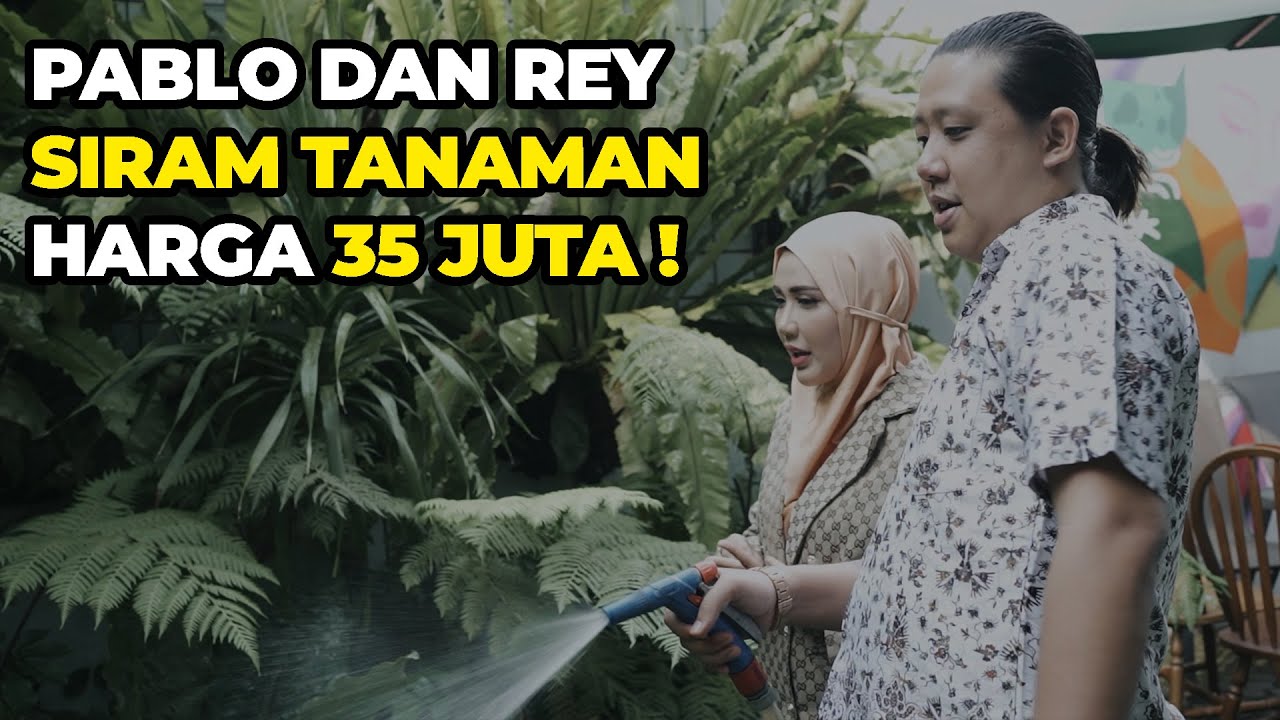 PABLO DAN REY SIRAM TANAMAN HARGA 35 JUTA !