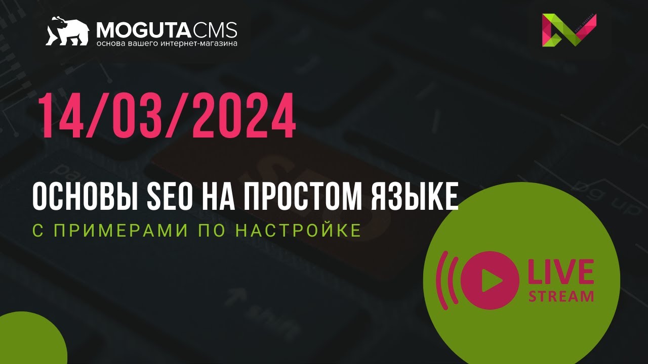 Основы SEO на простом языке: c примерами по настройке
