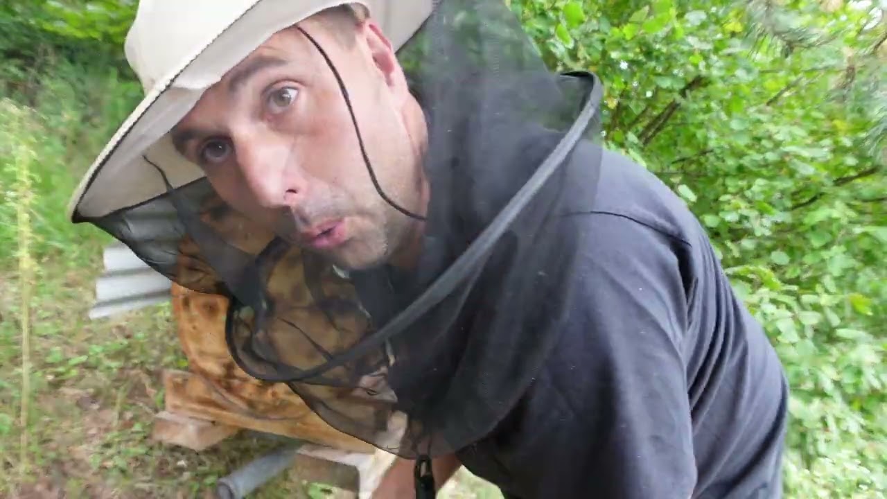 🆕 Varroa-Neuheit 2025: Calistrip Biox   🐝 Calistrip® Biox von Calier – Innovation für Varroa