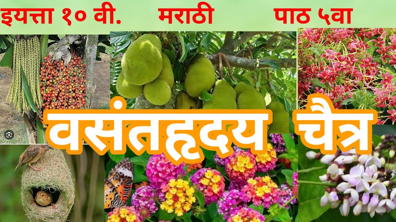 वसंतहृदय चैत्र.                                   #इ. #10वी #मराठी #वसंतहृदयचैत्र #10th #Marathi