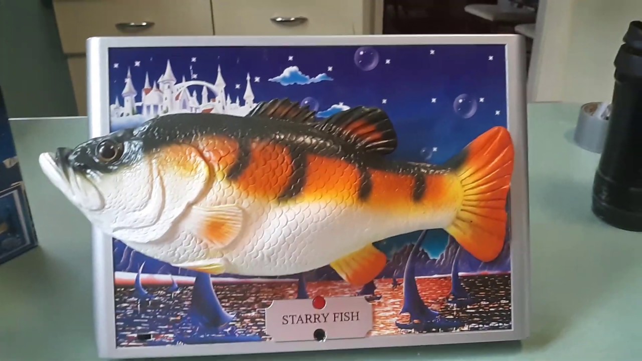 Starry Fish Singing Fish - Full Review