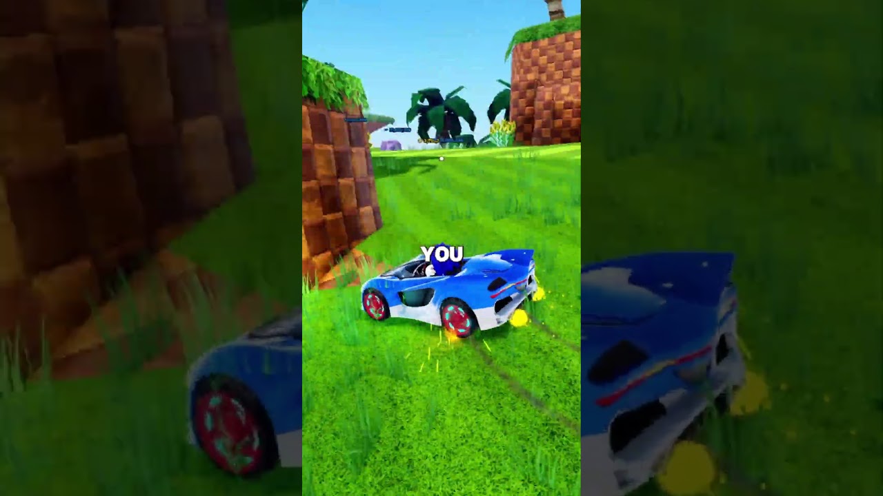 The Speedster Lightning Can Do This? (Sonic Speed Simulator)