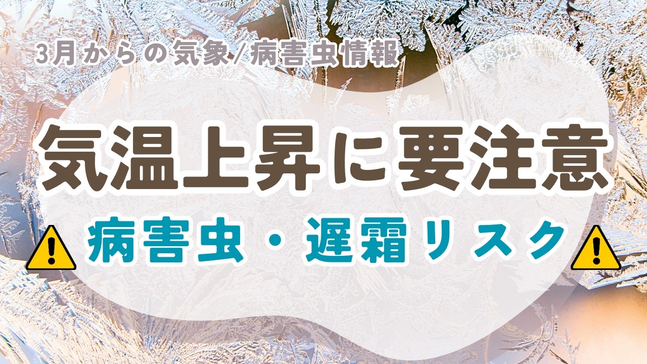 【気象×農業】気温上昇に要注意！病害虫・遅霜リスク