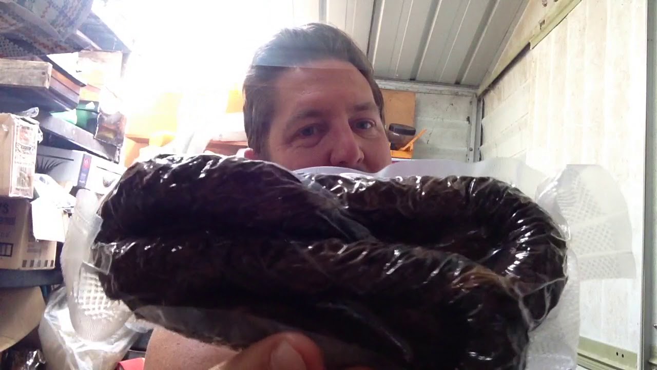 Sunday morning chat, GH Dark Flake & Cellaring