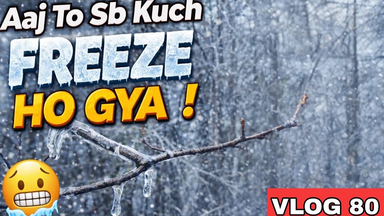 Aaj To Sab Kuch FREEZE Ho Gya 🥶❄️ | Extreme Cold Vlog | Snow Day Adventure | Vlog 80