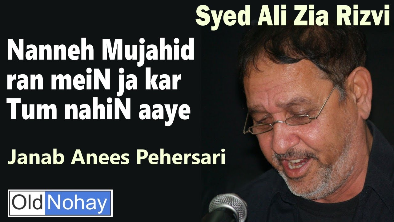 NANNHE MUJAHID RAN MEI JA KAR, TUM NAHIN AAYE - SAYED ALI ZIA RIZVI SAHIB