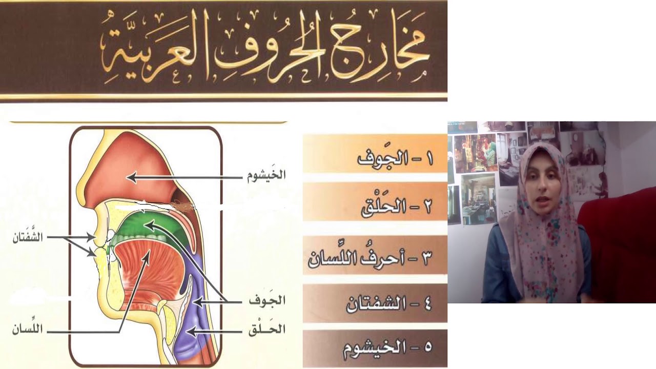 16. مخارج الحروف (المخارج العامة والخاصة)