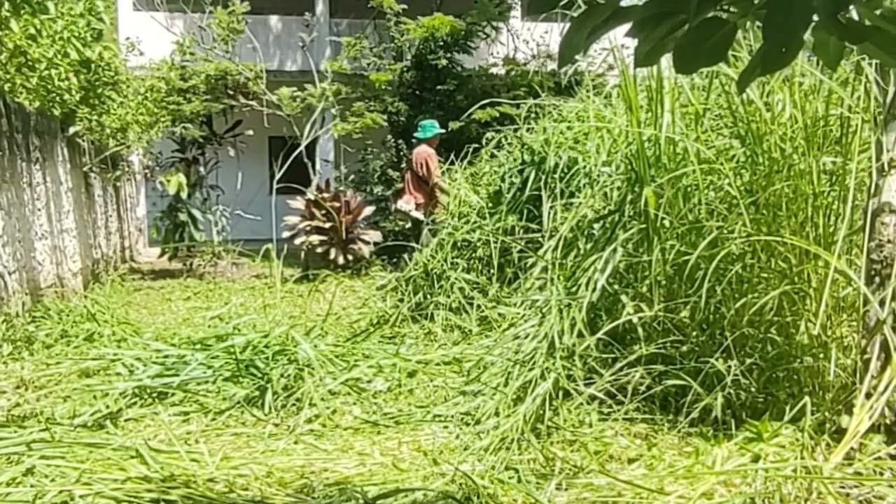 O trabalho não pode para/ seu quintal merece esse cuidado 😉🌿🌱/ deixa seu like 👍❤️