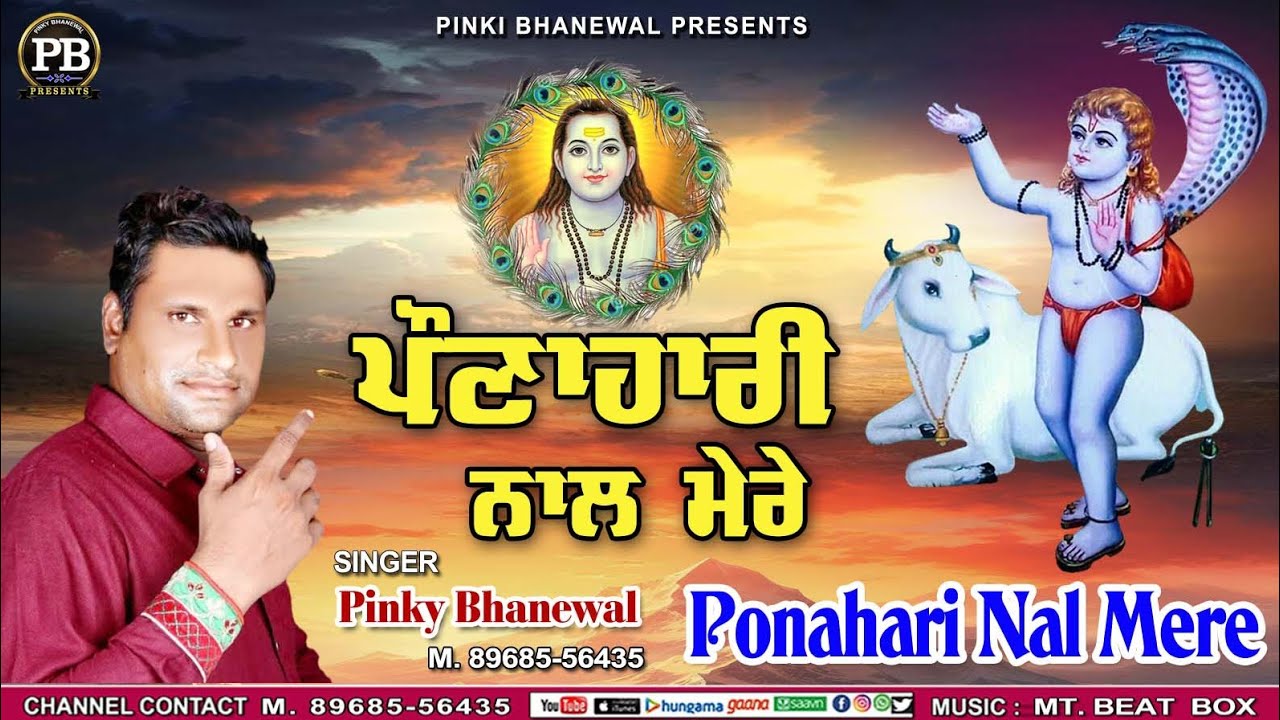 ਪੌਣਾਹਾਰੀ ਨਾਲ ਮੇਰੇ||Ponahari Nal Mere||Pinky Bhanewal||Baggu Rajumajra||Music MT BEAT Box