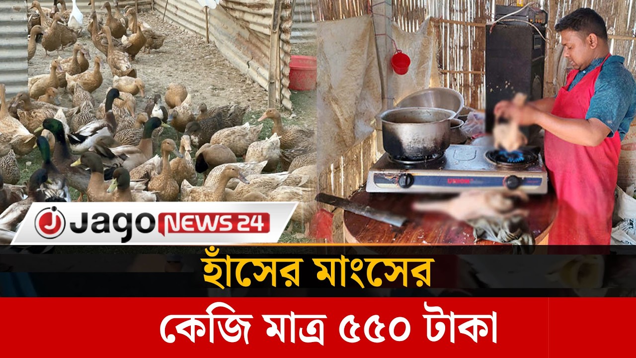 দিনাজপুরে ৫৫০ টাকা কেজি হাঁসের মাংস কিনতে ক্রেতাদের হিড়িক | Jago News