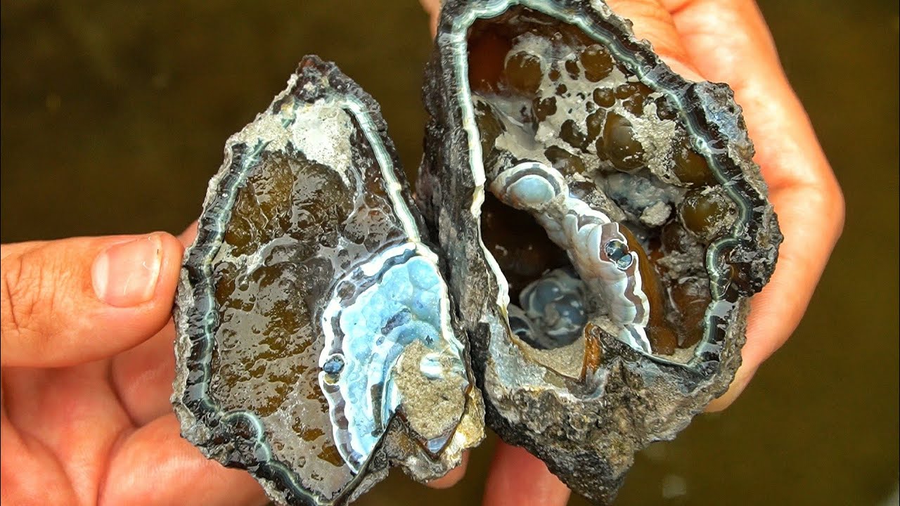 Agate & Geode Hunting! We Found Agatized Coral Geodes While Rockhounding In A Georgia River!