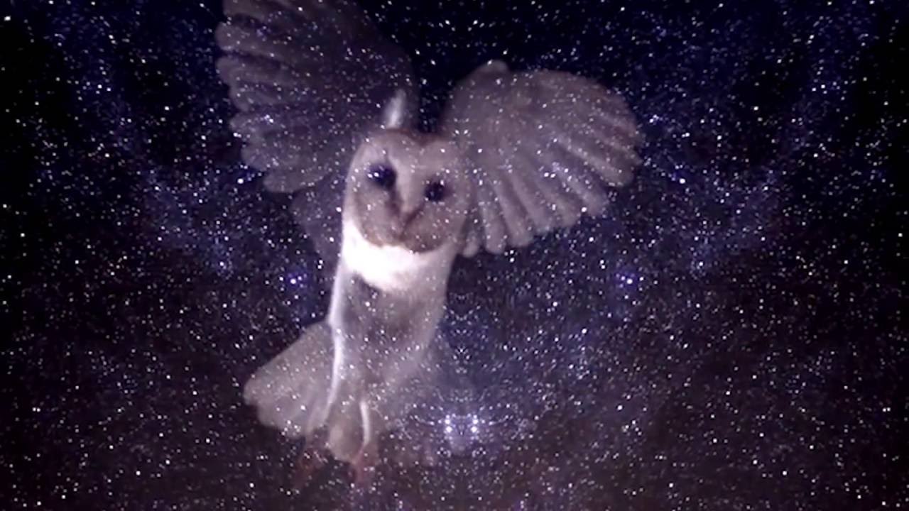 ANDERSON/STOLT - Know... (OFFICIAL VIDEO)