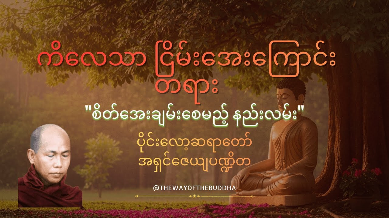 ကိလေသာကို ဘယ်လိုသတ်မလဲနှင့် စိတ်ကိုစစ်ဆေးနည်း တရားတော် - ပိုင်းလော့ဆရာတော်