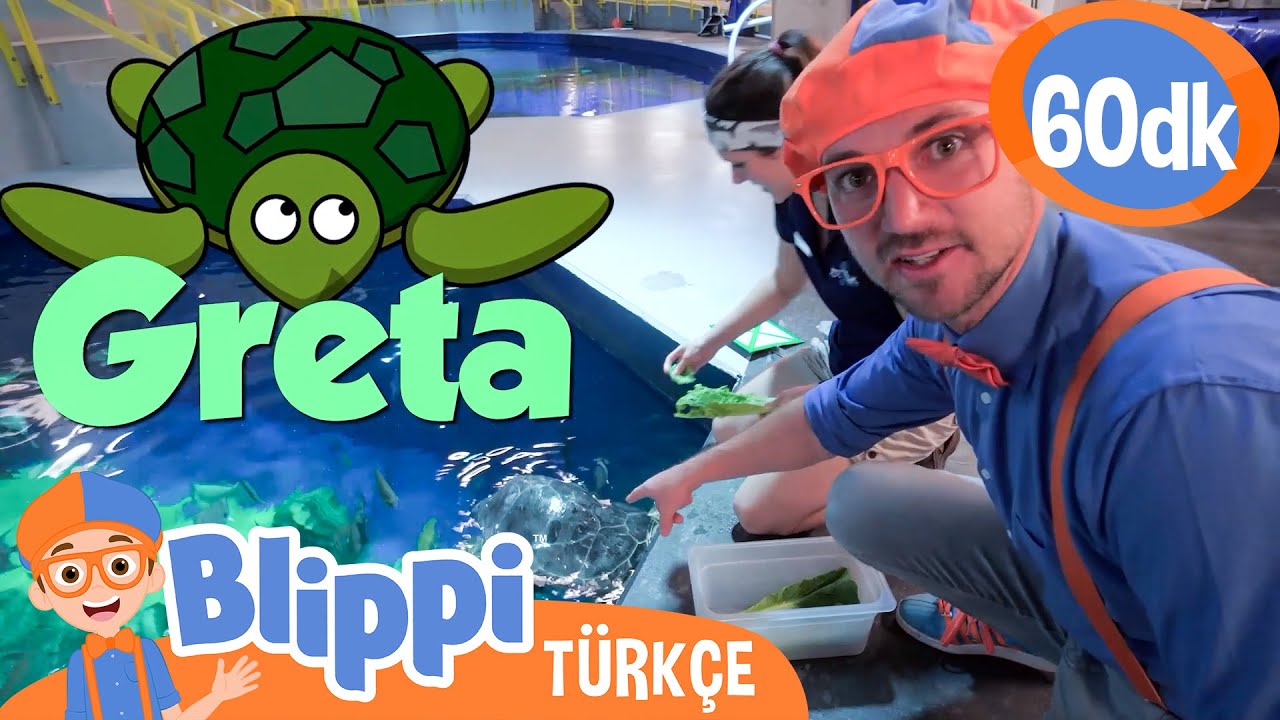 Blippi Bir Akvaryumu Ziyaret Ediyor 🐟🐠 | Blippi Türkçe - Çocuklar için Eğitici Videolar