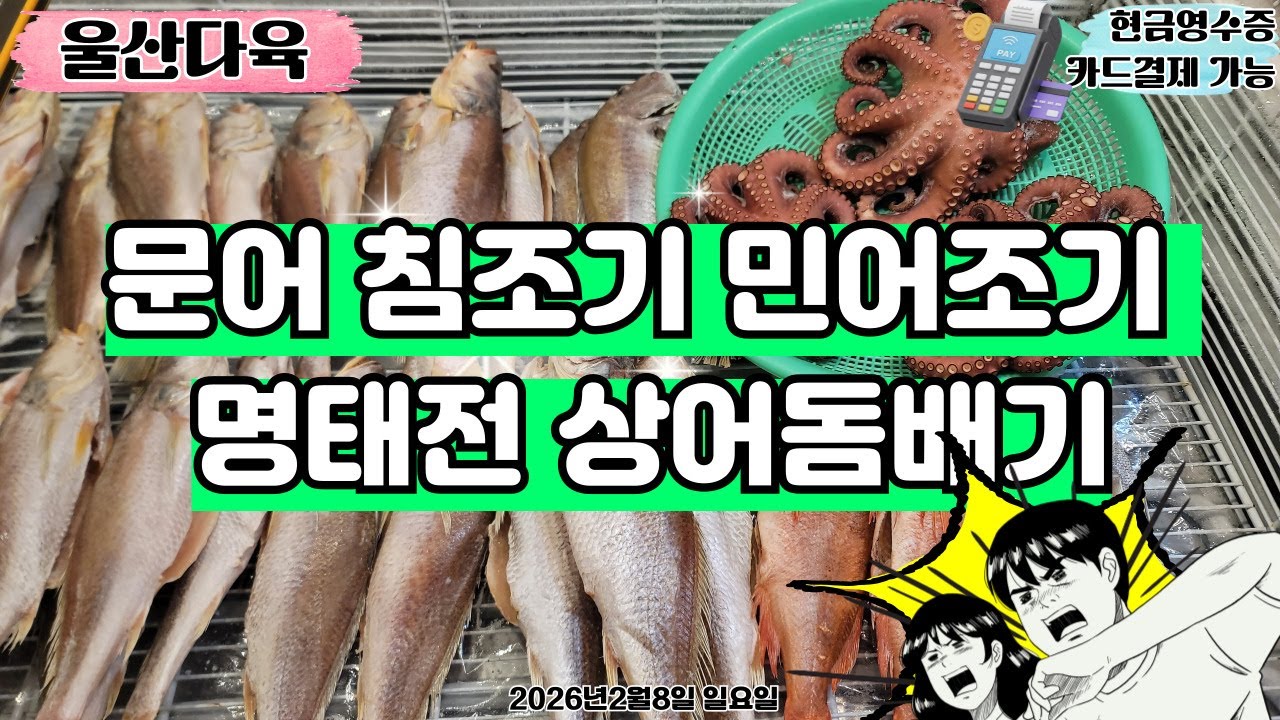 [2월8일 일]🐙🐟 오늘 생선 라인업 미쳤다! 문어·민어·명태전까지!#울산다육 #prismlivestudio #선인장 #생선 #생선판매 #수산물 #라이브 #실시간 #판매 #카드
