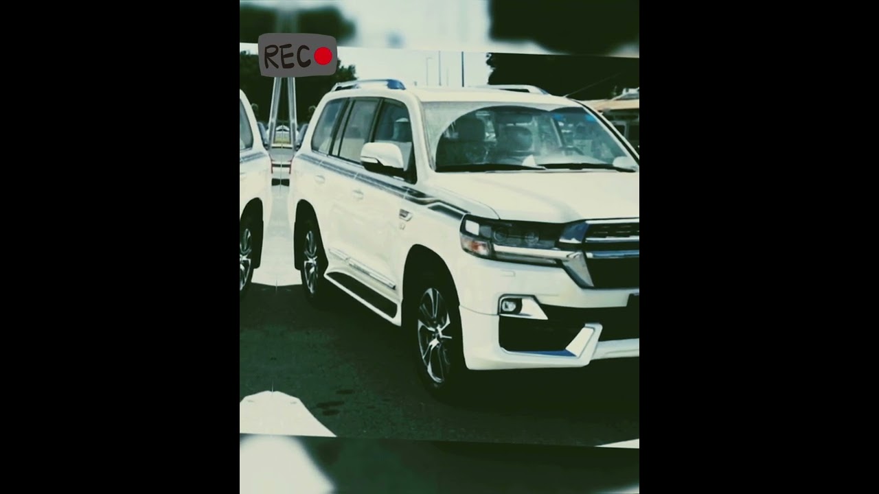 البيرق الشامخ / الفكسار #شعر #فكسار#شعر_شعبي