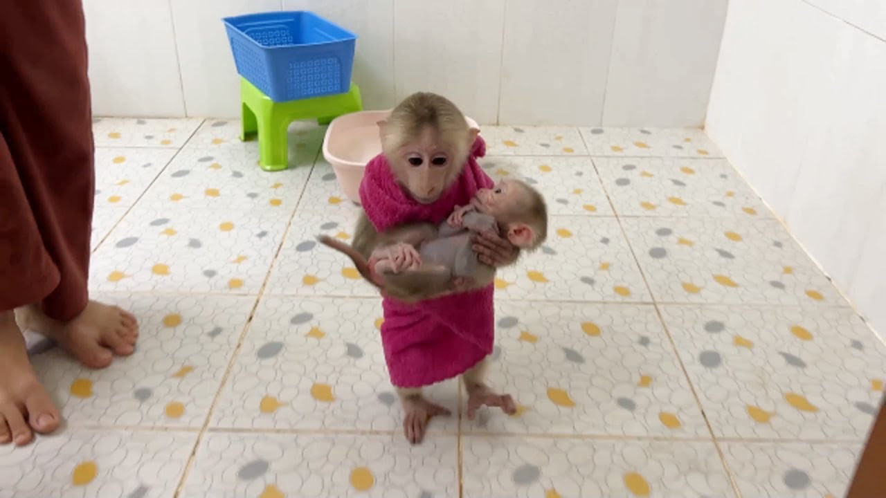 Pavpav Like Human Dad Hold Linda Lift Up From Morning Routine