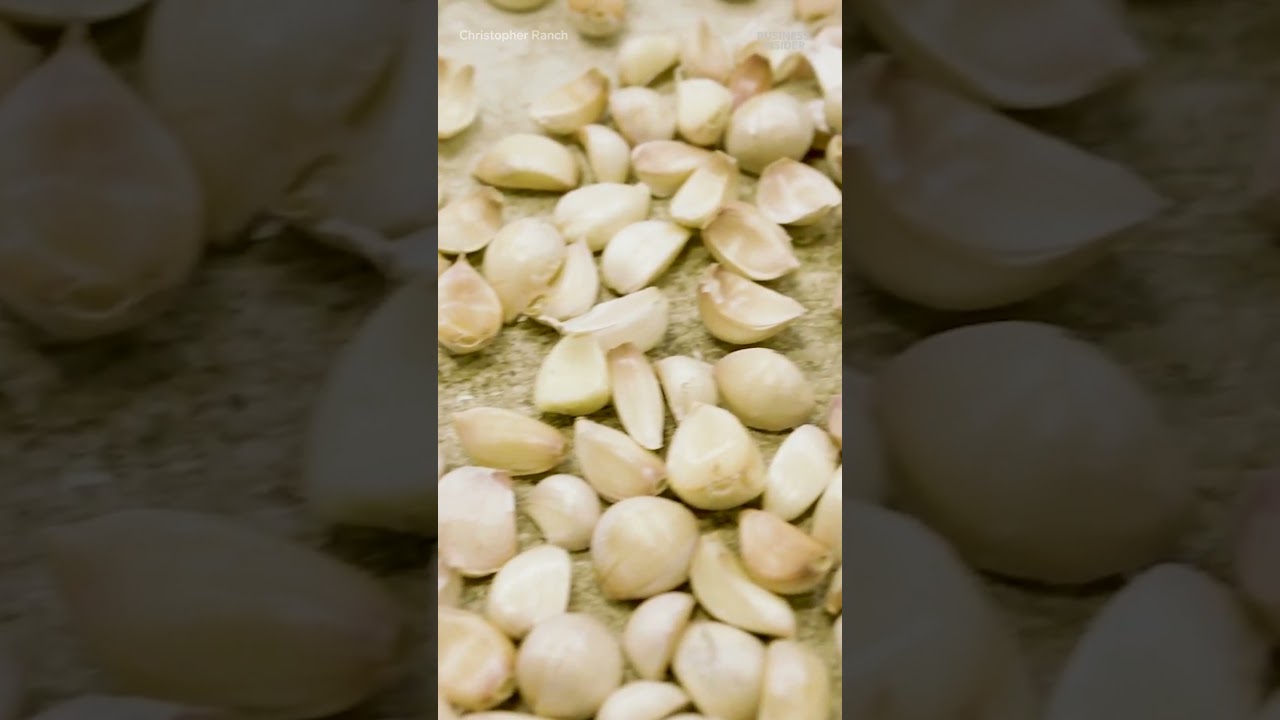 This machine can peel hundreds of garlic cloves a minute. #garlic #food #farming