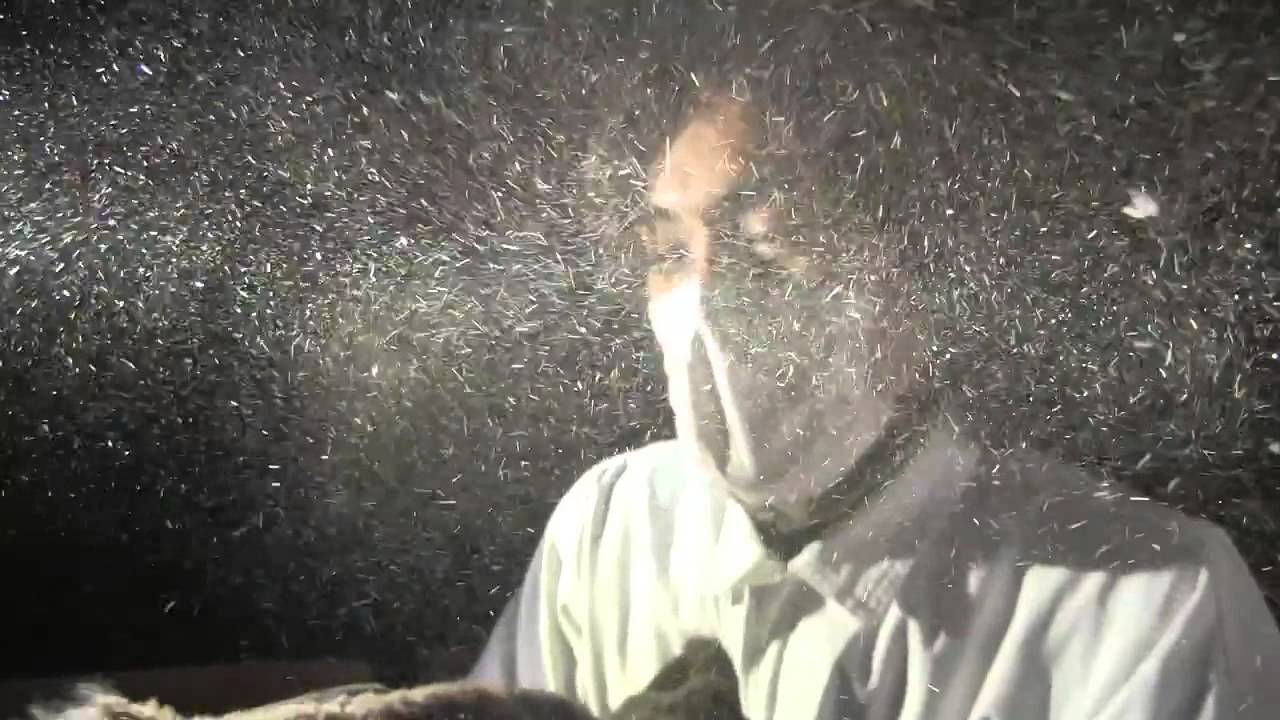 Plasmacluster Beat Dust