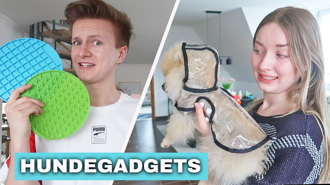 DAVON ist Leo NICHT begeistert... Hunde Gadgets