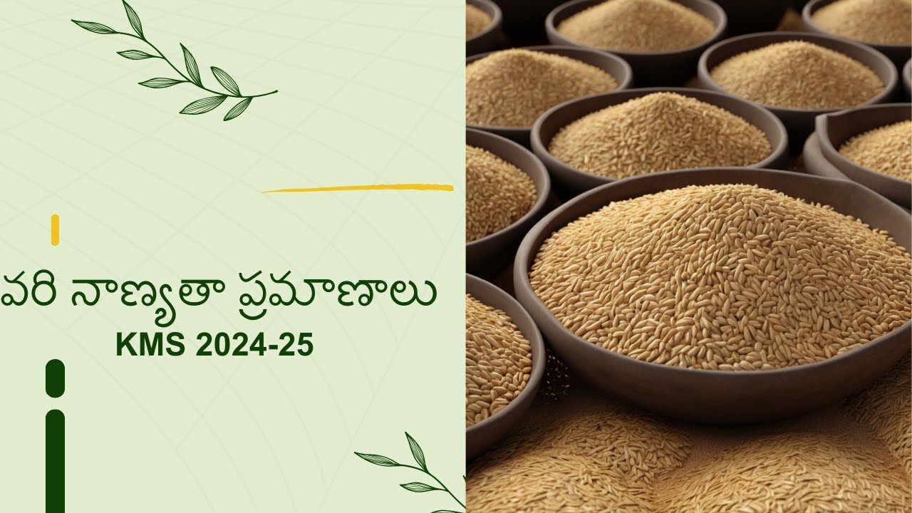 Physical Analysis of Paddy-FAQ norms- Method of Analysis-Pictorial depiction of paddy refractions