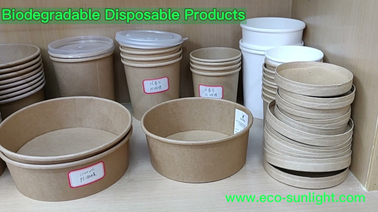 100% Biodegradable Compostable kraft paper bowl China factory