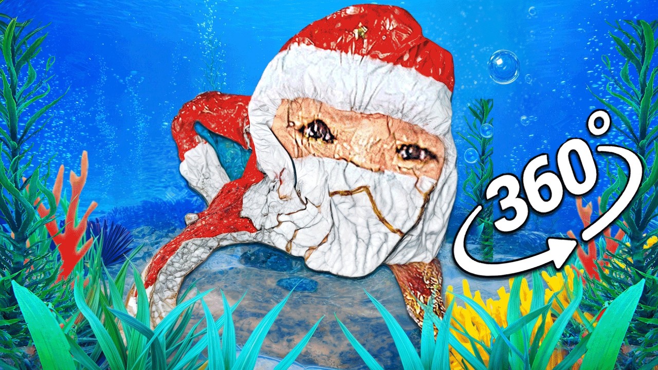 Goo goo gaga meme - Oceanic in 360&deg; Video | VR / 4K