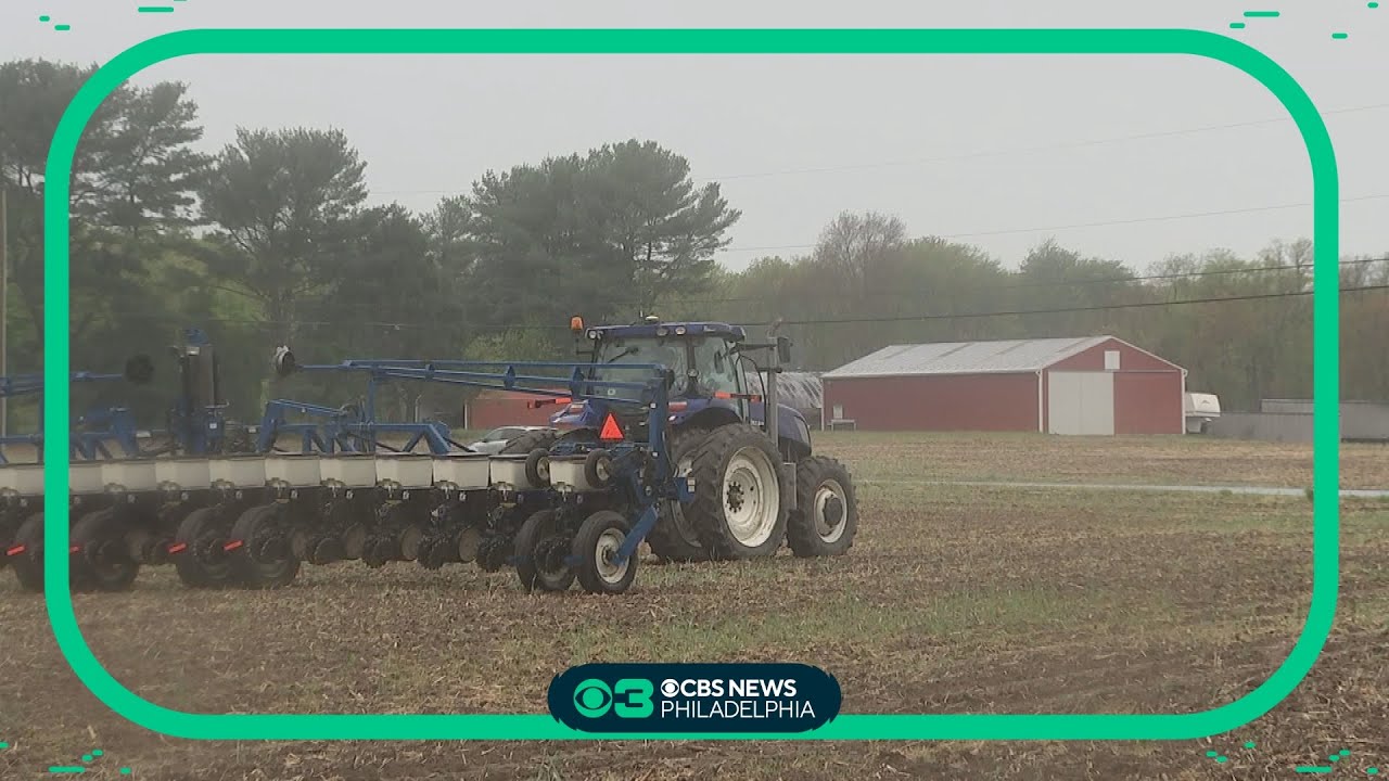 The impact of the heavy rain for local farmers