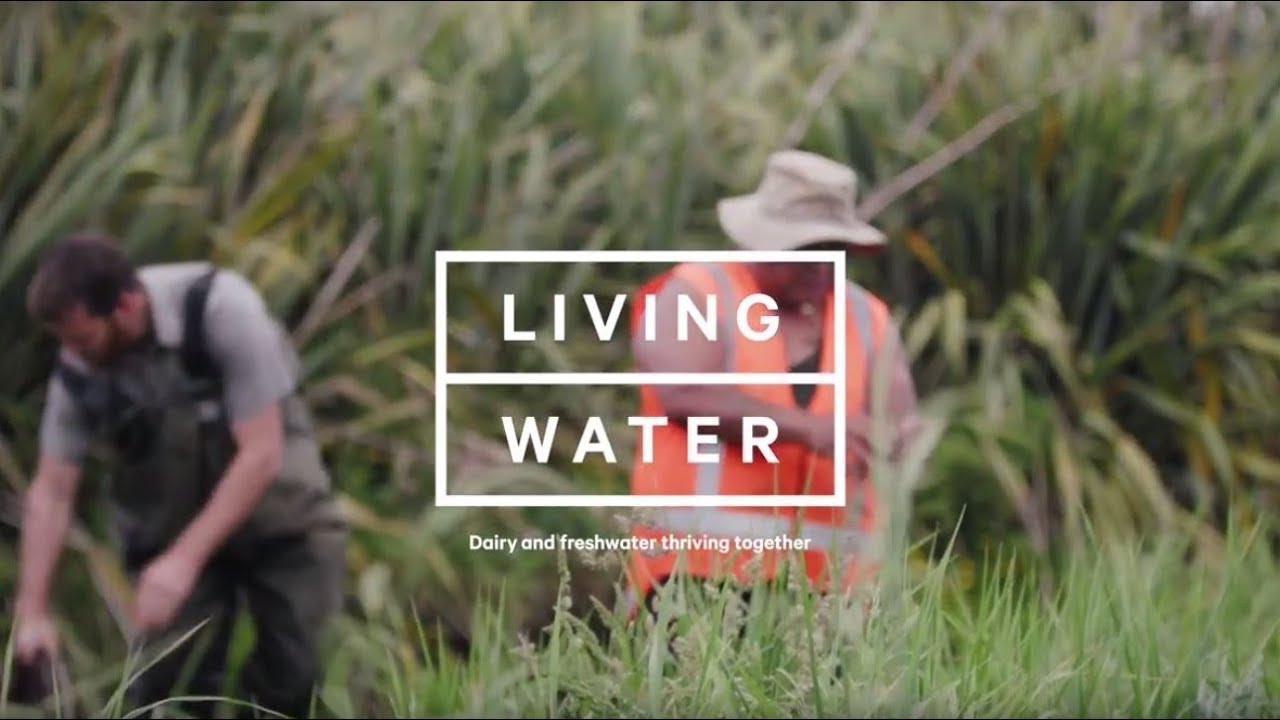 Maori Engagement & Collaboration in Living Water