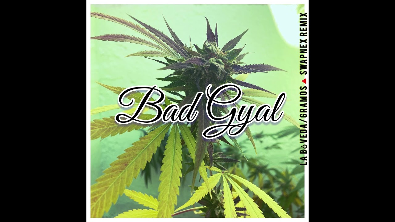 Bad Gyal - Gramos ($wapnex Lo-Fi pirate edit)
