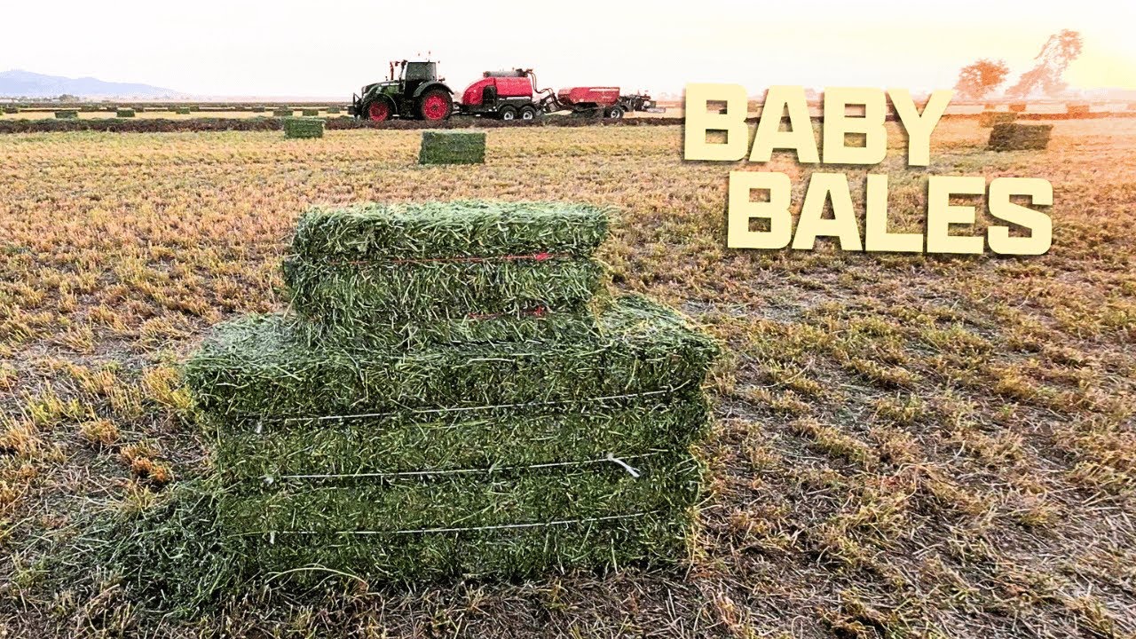 Your Grandpa's Baler