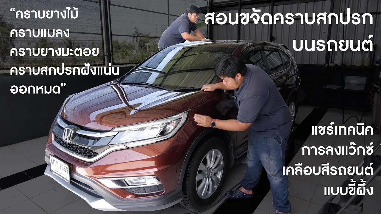 วิธีขจัดคราบฝังแน่นบนรถยนต์ คราบยางมะตอย ยางไม้ แมลง และเทคนิคการลงแว๊กซ์เคลือบสีรถยนต์