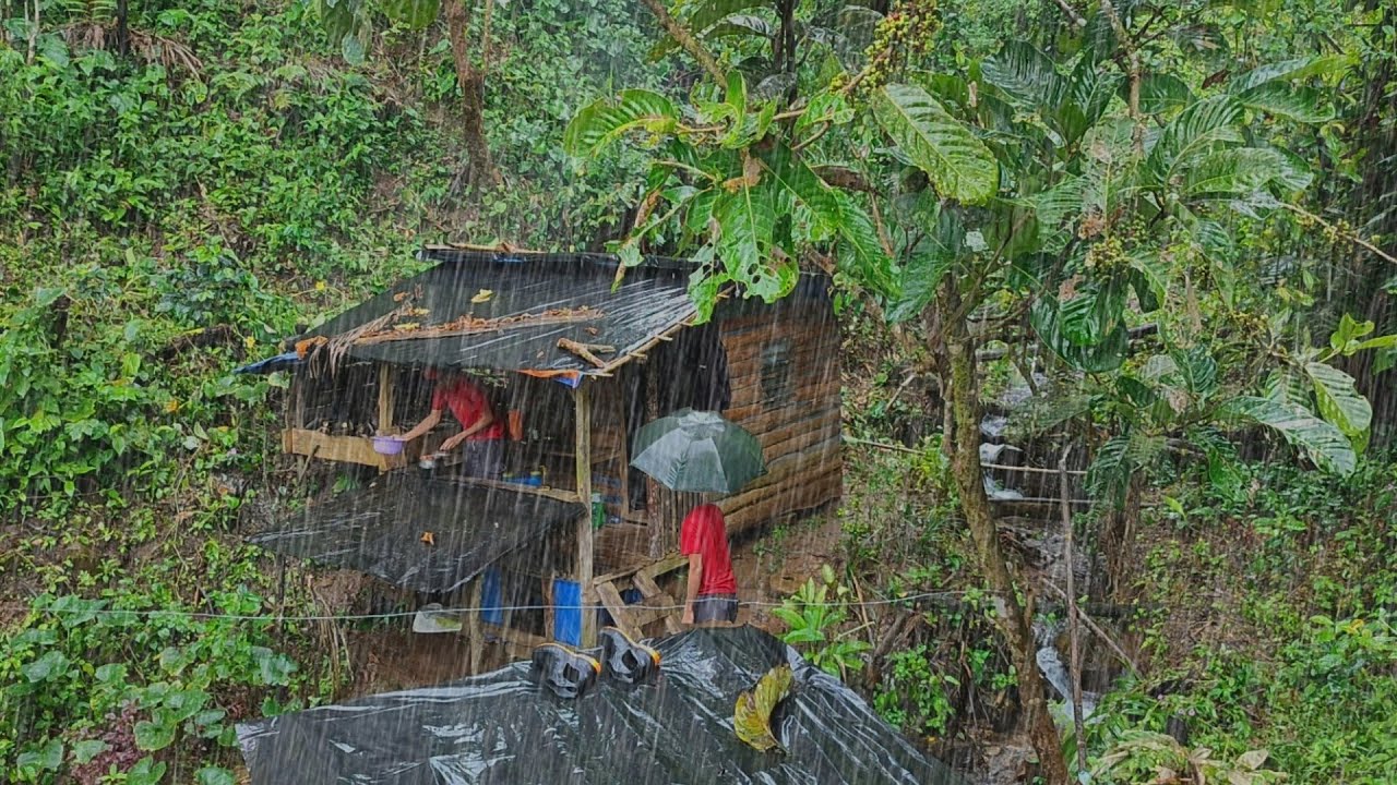Menakutkan 😭 Di Guyur Hujan Deras Non-stop - Bertahan Hidup Di Pondok Kecil Di Tengah Hutan