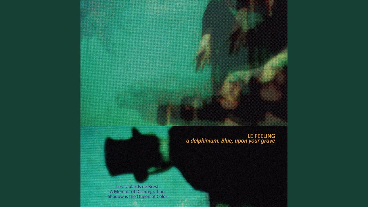 A Memoir of Disintegration