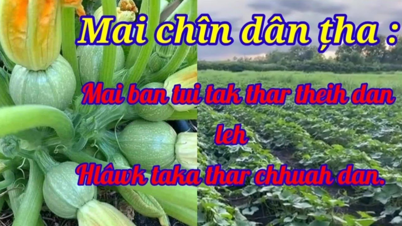 Mai chîn dân leh enkawl zui dan.//Hlâwk taka Mai thar dan.